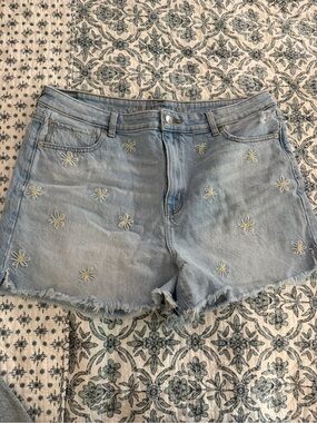 American Eagle Outfitters Light Blue Denim Daisy Shorts